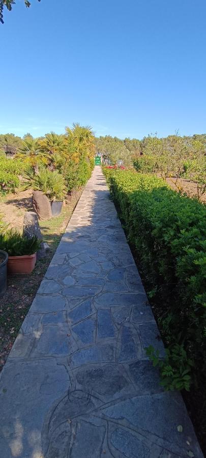 Orosei Re - Villa Aurora Rimedia A 50 Metri Dal Mare Экстерьер фото
